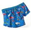 Hot Wheels Boys Underwear Cotton Boxer Briefs Fun Prints-3