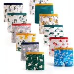 Green Mouse Boys Boxer Briefs Breathable Comfortable-0