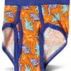 Hanes Boys Briefs Soft Cotton Dinosaur Underwear 10 Pack-1