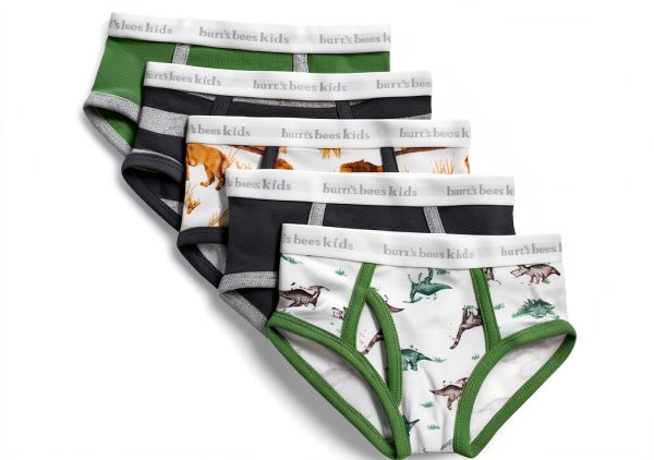 Burt's Bees Boys Organic Cotton Underwear 5 Pack Toddler